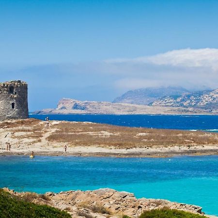 Stintino - Cala Lupo Aparthotel Kültér fotó